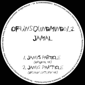 Ofunsoundmind013