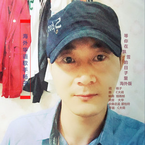 等你在飘雪的日子里 (海外版|杨子海外版)