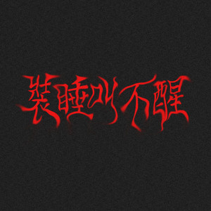 装睡叫不醒 (feat. WittBoy)