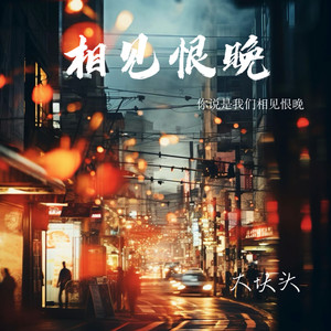 相见恨晚（你说是我们相见恨晚）