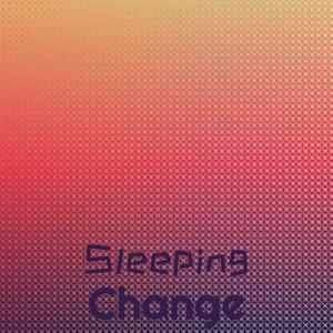 Sleeping Change