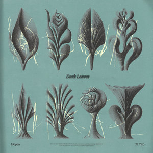 Dark Leaves