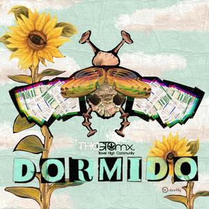 Dormido (Explicit)