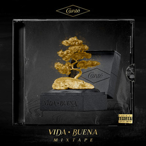 Vida Buena (Mixtape) [Explicit]