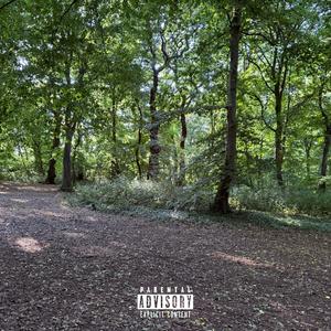 THE WOODS FREESTYLE (Explicit)
