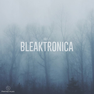 Bleaktronica