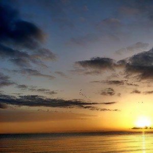 对你永不舍弃是我的诺言