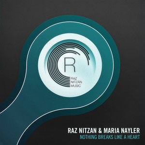 Nothing Breaks Like A Heart (Radio Edit)