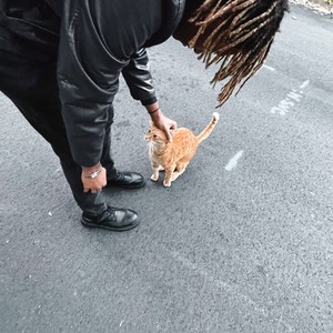 sick of hoes (Explicit)