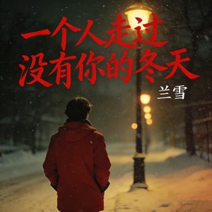 一个人走过没有你的冬天