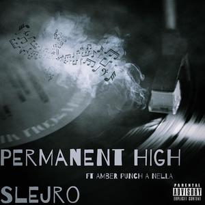 Permanent High (feat. Amber Punch a Nella) [Explicit]