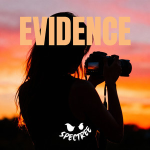evidence