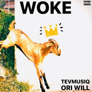 Woke (feat. Ori Will) [Explicit]