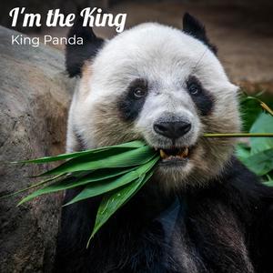 I'm the King (Explicit)