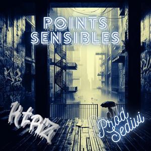 Points Sensibles (Explicit)