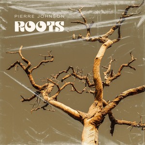 Roots