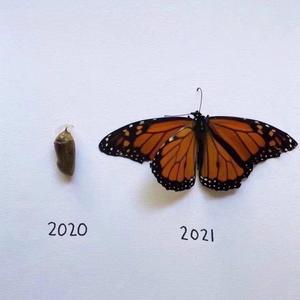 键盘侠 (PROD BY Ljx Ghost)