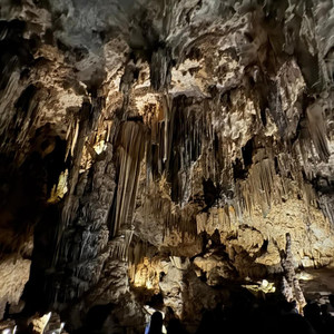 Poema a mis problemas