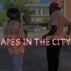Apes In The City (feat. King Pharaoh) [Explicit]