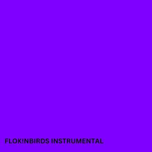 FLOK!NBIRDS (Instrumental)