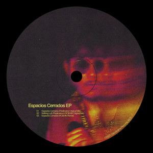 Espacios Cerrados (ROB-IIN Remix)