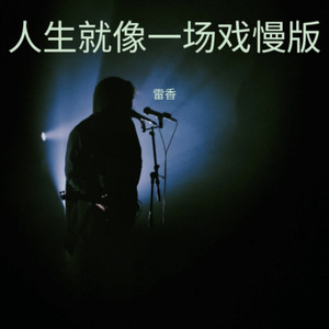 人生就像一场戏慢版伴奏