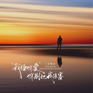 我给你爱你别把我伤害 (DJ阿尼版)