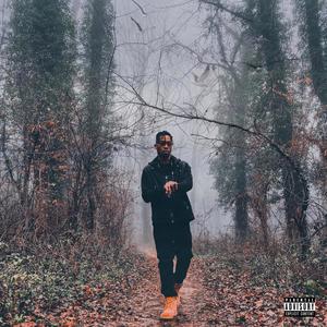 Higher(feat. Tracey Lee) (Explicit)