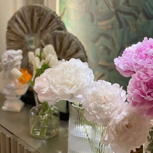 你就不要想起我