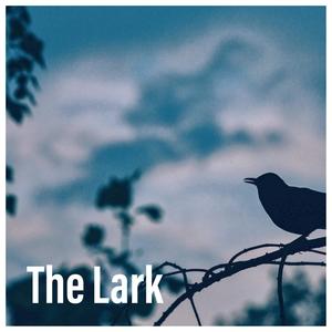 A Farewell to Saint Petersburg, IMG 9: The Lark