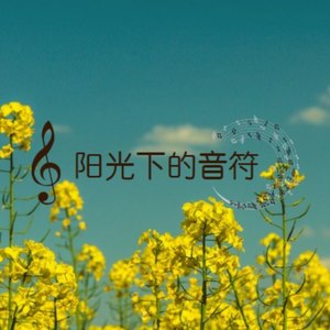 阳光下的音符