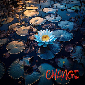 Change (Explicit)
