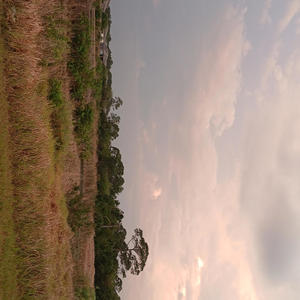 The ex she repeated (feat. kyrëd! & Soulking.Tobi) (Explicit)