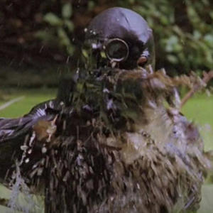 Wrong Way© (Explicit)