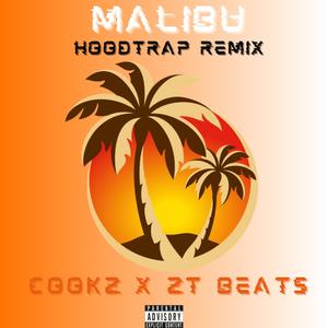 Malibu (feat. ZT Beats) [Hoodtrap Remix] [Explicit]