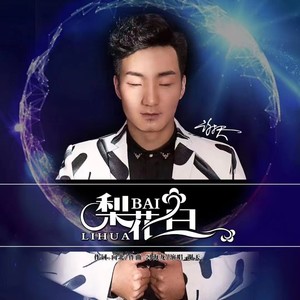 梨花白 (DJ默涵版)