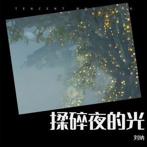 揉碎夜的光