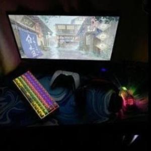 Went Solo (Explicit)