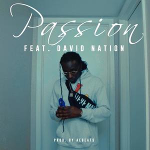 Passion (feat. DavidNation) [Explicit]