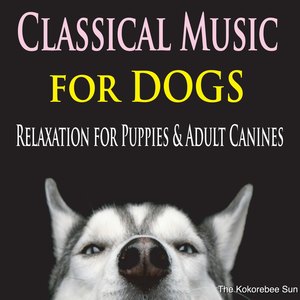 Classical Music for Dogs (Relaxation for Puppies & Adult Canines)