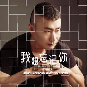 我想忘记你 (新版)