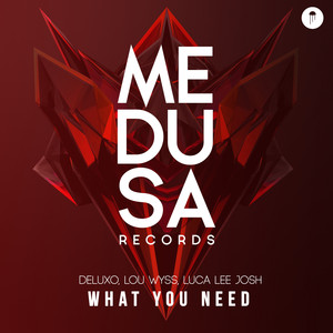 What You Need (Original Mix)