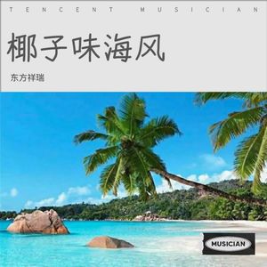 椰子味海风