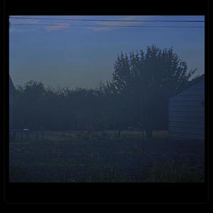 The Night Garden (feat. lil scandic) (Explicit)