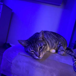 BANKI! (feat. Kn6w._.clue) (Explicit)