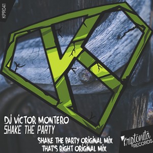 Shake The Party (Original Mix)