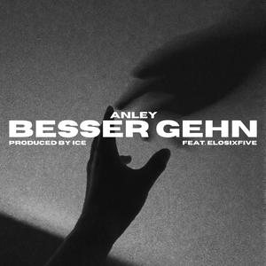 Besser Gehn (feat. ELOSIXFIVE) [Explicit]