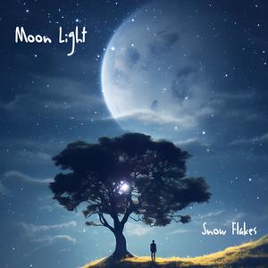 Moon Light