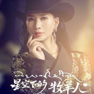 星空下的牧羊人