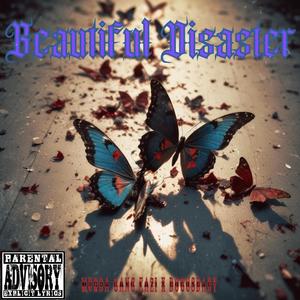 Beautiful Disaster (Explicit)